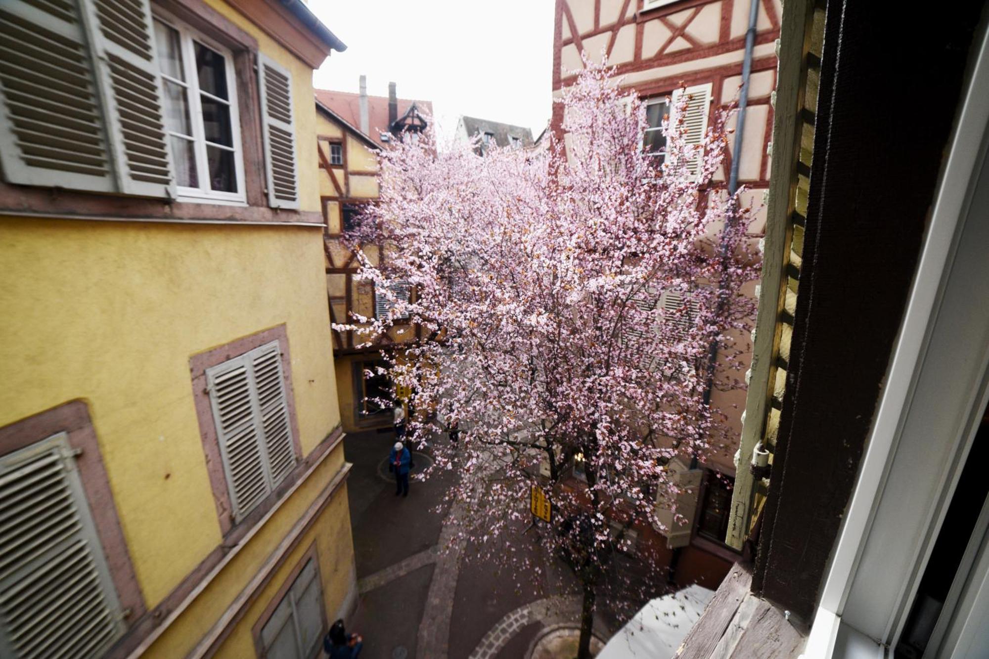 Gite Bim Maidala Colmar Exterior photo